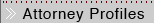 Attorney Profiles